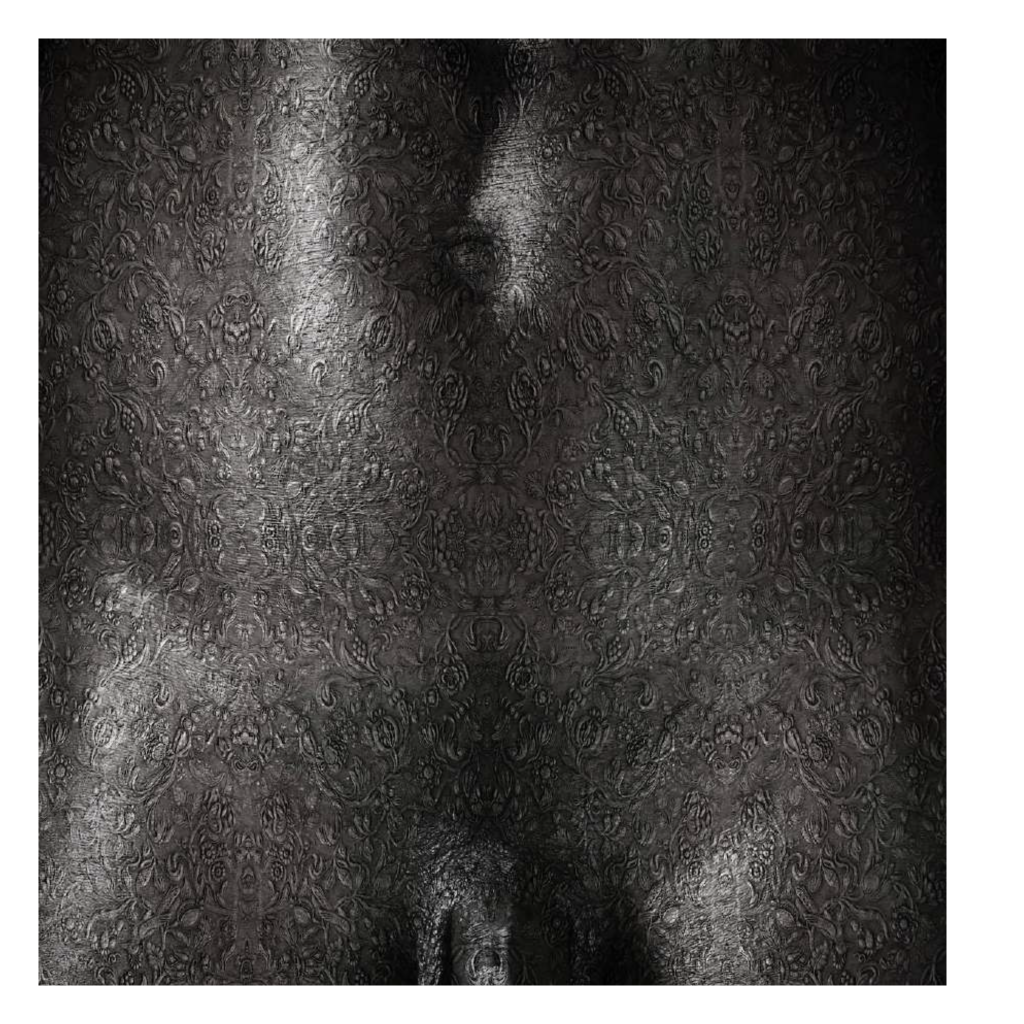 CORSET SOCIAL, Installation Support, Diaporama de 50 corps nus composé de photomontages numériques & scarifications virtuelles, Slideshow of 50 naked bodies composed of digital photomontages & virtual scarifications.